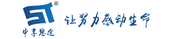 中享思途IT培训机构品牌logo